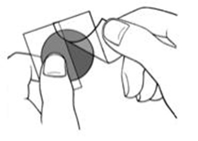 Image Of Protective Liner (Protective Liner)